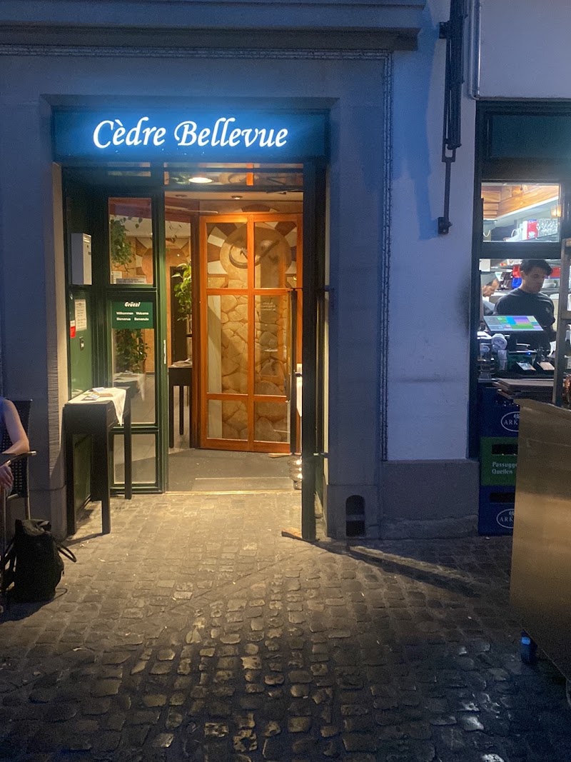 Le Cèdre Bellevue - Le Cèdre Bellevue Schifflände 5, 8001 Zürich, Switzerland