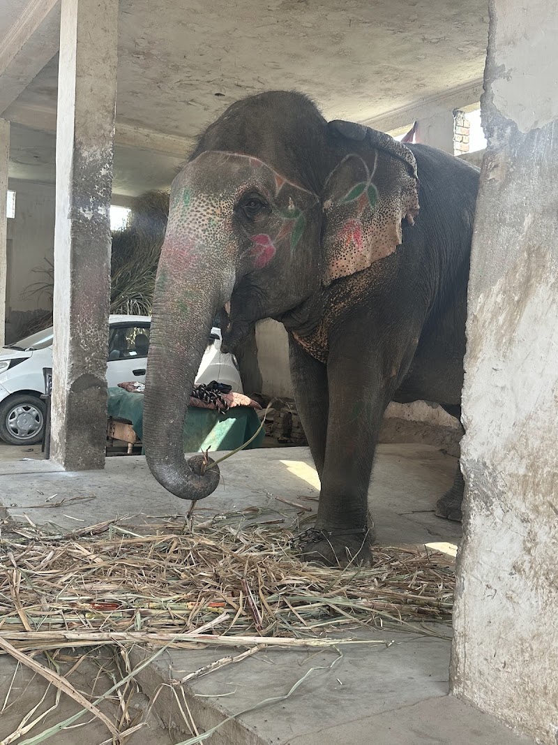 Ganesh Pol - Ganesh Pol Amer Road, JAIGARH FORT, Devisinghpura, Amer, Rajasthan 302028, India