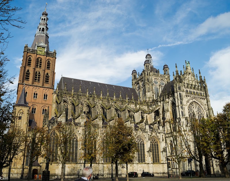 St John's Cathedral - St John's Cathedral, Torenstraat 16, 5211 KK 's-Hertogenbosch, Netherlands