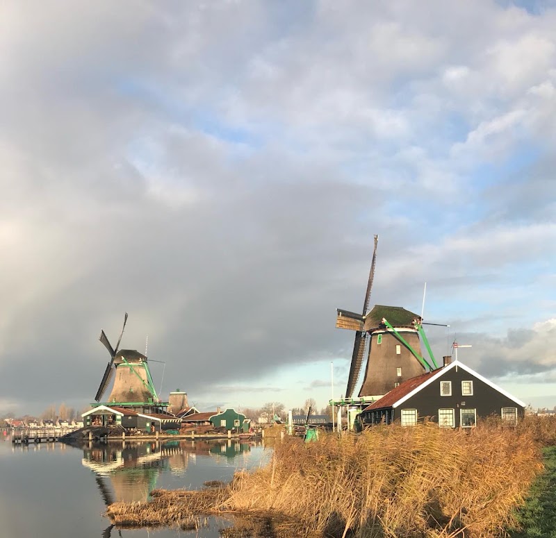 Het Jonge Schaap, Zaandam - Het Jonge Schaap, Zaandam, Kalverringdijk 31A, 1509 BT Zaandam, Netherlands