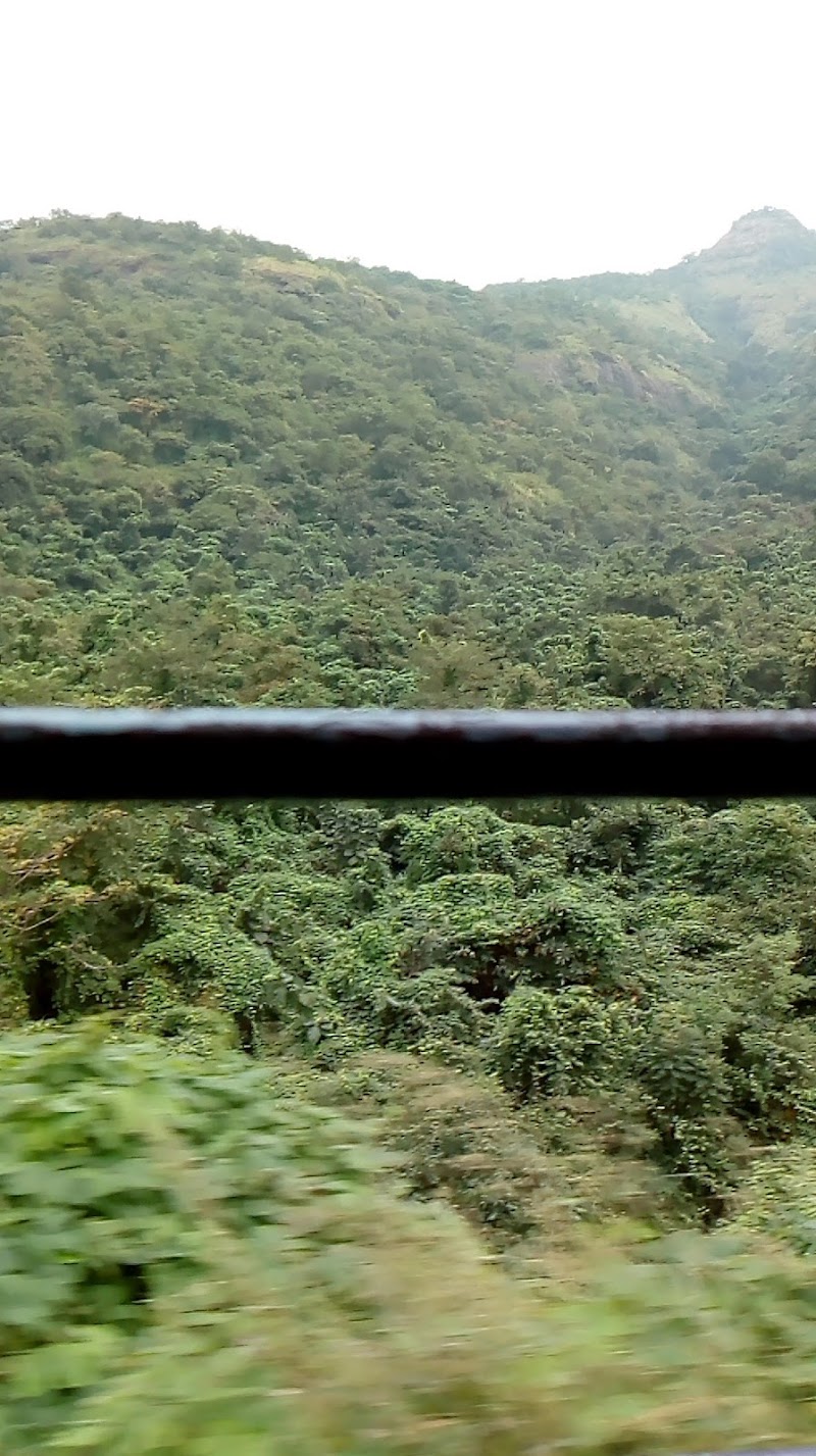 Canyon Valley - Canyon Valley Q99G+MPJ, Kune Village, Khandala, Lonavala, Maharashtra 410302, India