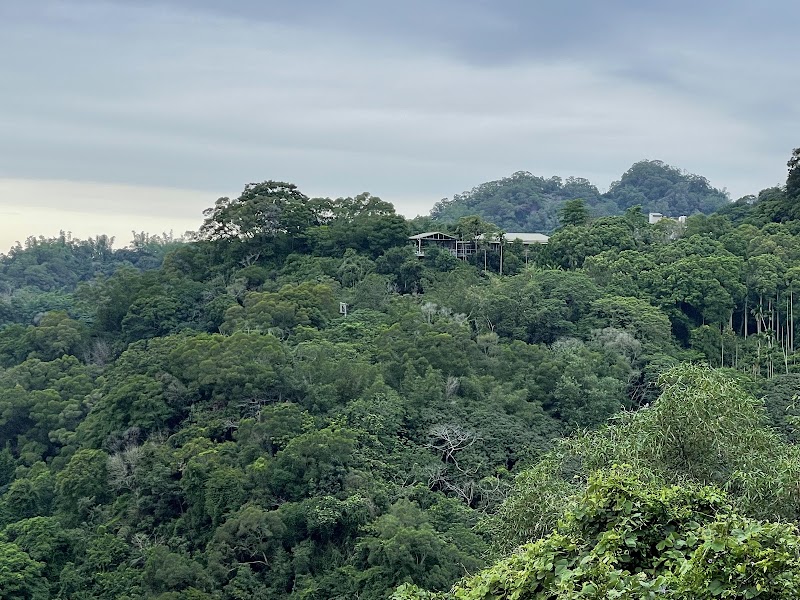 Dakeng Trail No.7 - Dakeng Trail No.7, 406, Taiwan, Taichung City, Beitun District, 建成巷