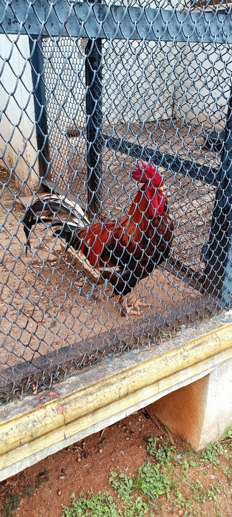 Sanjeevini Park - Sanjeevini Park, 40, Kamakshi Hospital Rd, Kuvempunagara North, Kuvempu Nagara, Mysuru, Karnataka 570009, India