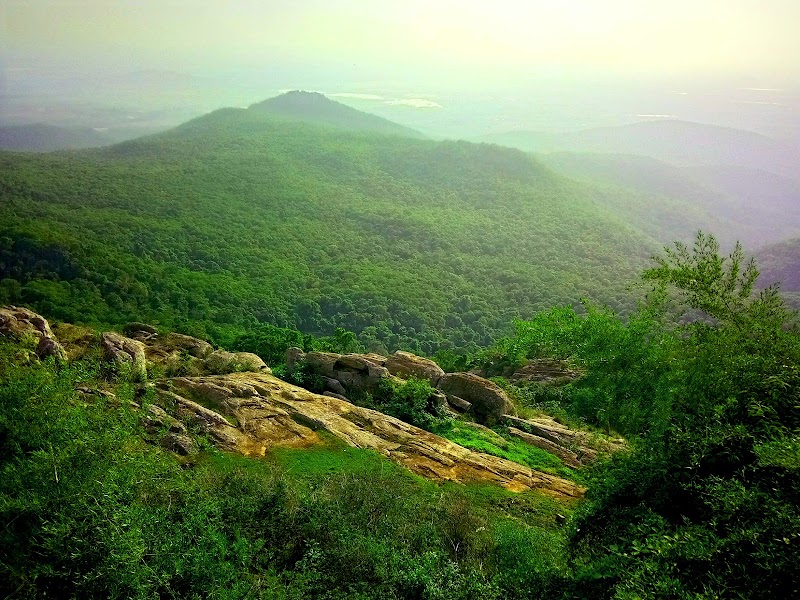 B.R.Hills - B.R.Hills, Karnataka 571441, India