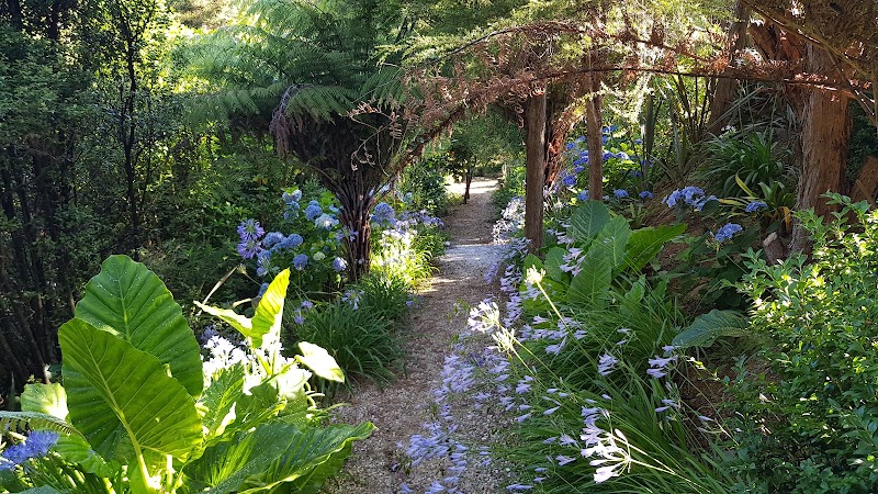 Moana Haven B&B - Moana Haven B&B, 784 Queen Charlotte Drive, Havelock 7281, New Zealand