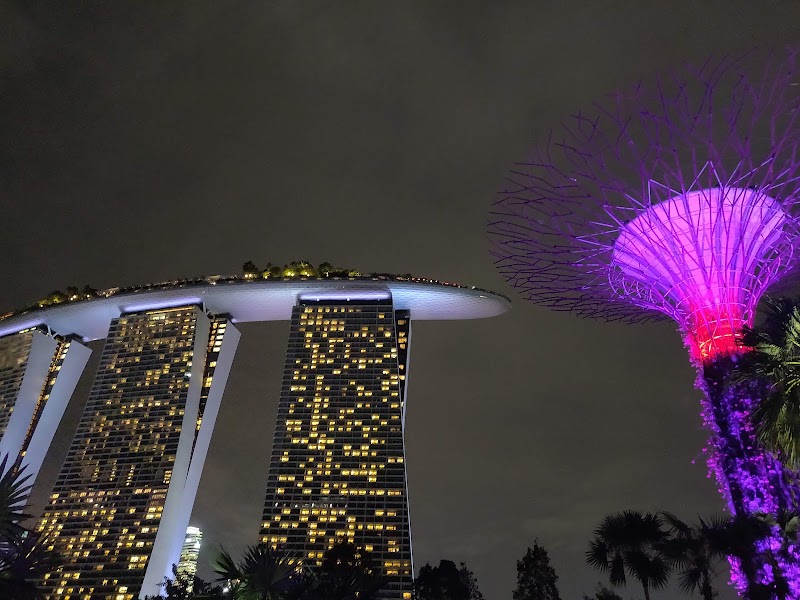 Supertree Grove - Supertree Grove 18 Marina Gardens Dr, Singapore 018953