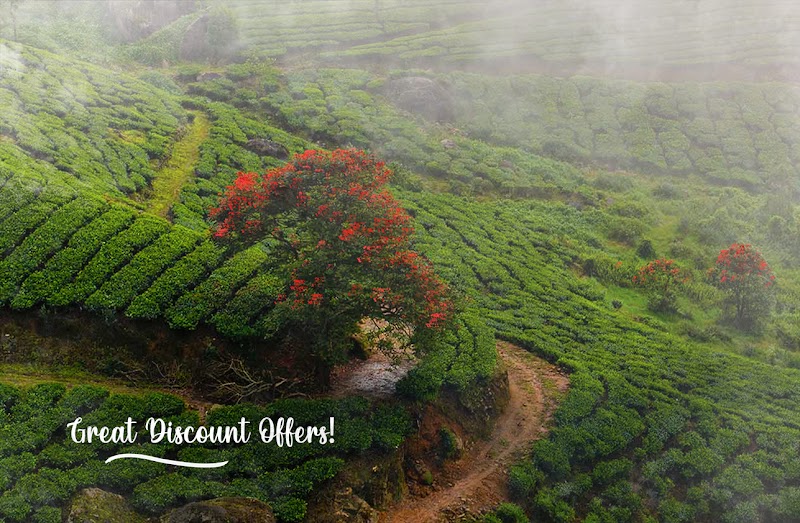 Kerala Holidays Pvt. Ltd. केरल टूर पैकेज