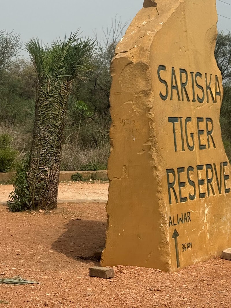 Sariska Safari Booking - Sariska Safari Booking Neare Sariska tiger reserve booking office, Ganeshpura With Rundh Kali Ghati, Rajasthan 301022, India
