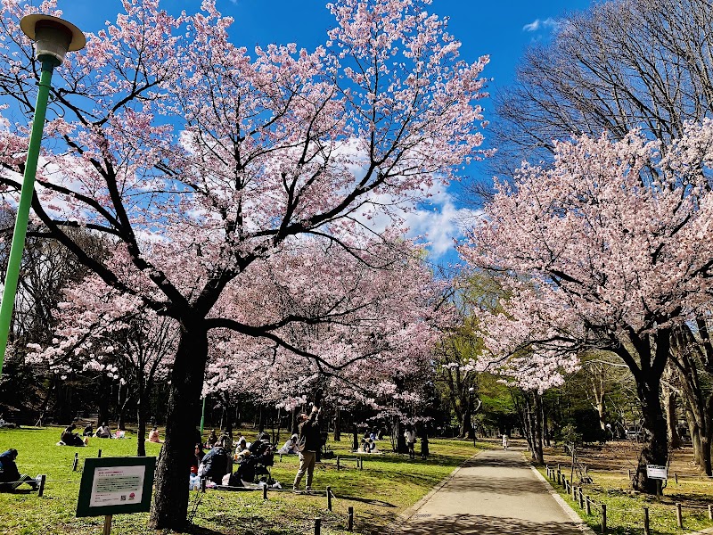 Maruyama Park - Maruyama Park, Japan, 〒064-0959 北海道札幌市中央区宮ケ丘３