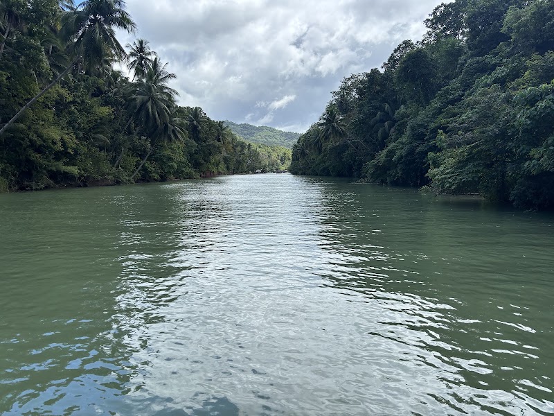 Bohol Cebu Tours - Bohol Cebu Tours, Kadulang, Marigondon, Lapu-Lapu, 6015 Cebu, Philippines
