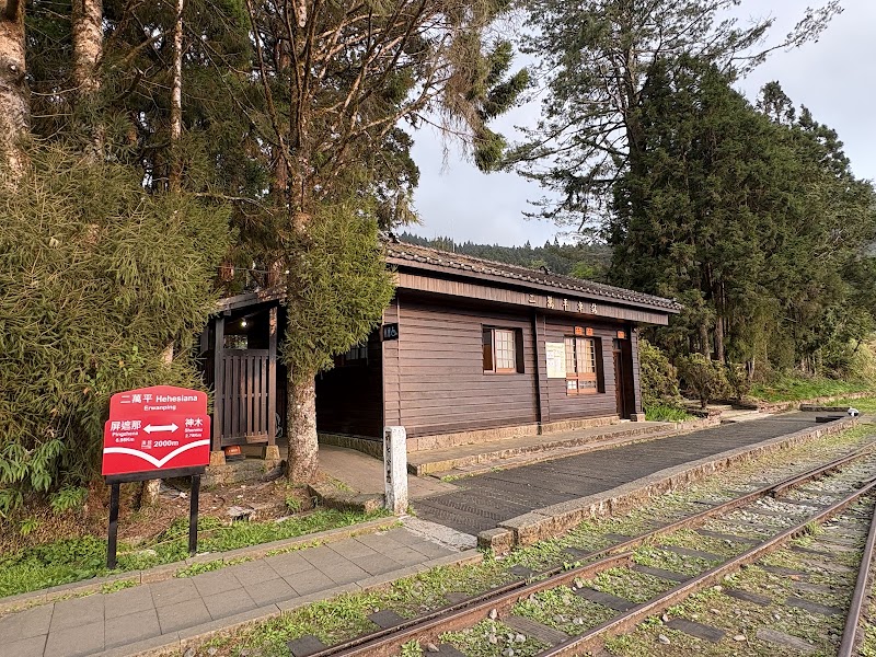 Alishan Youth Activity Center - Alishan Youth Activity Center 60541, Taiwan, Chiayi County, Alishan Township, Xianglin Village, 106號