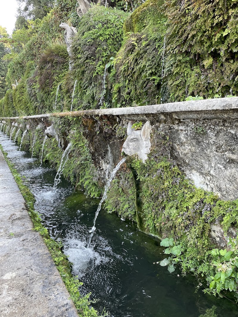 P.za Trento, 5 - P.za Trento, 5, 00019 Tivoli RM, Italy