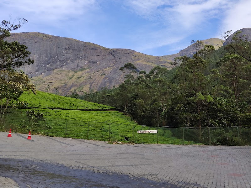 Nayamakad Waterfall - Nayamakad Waterfall 43P6+999, Munnar - Udumalpet Rd, Kannan Devan Hills, Kerala 685612, India