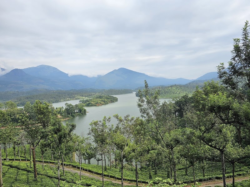 Travel dream destination - Travel dream destination estate, Nullatanni, Mattupetty, Munnar, Kerala 685616, India