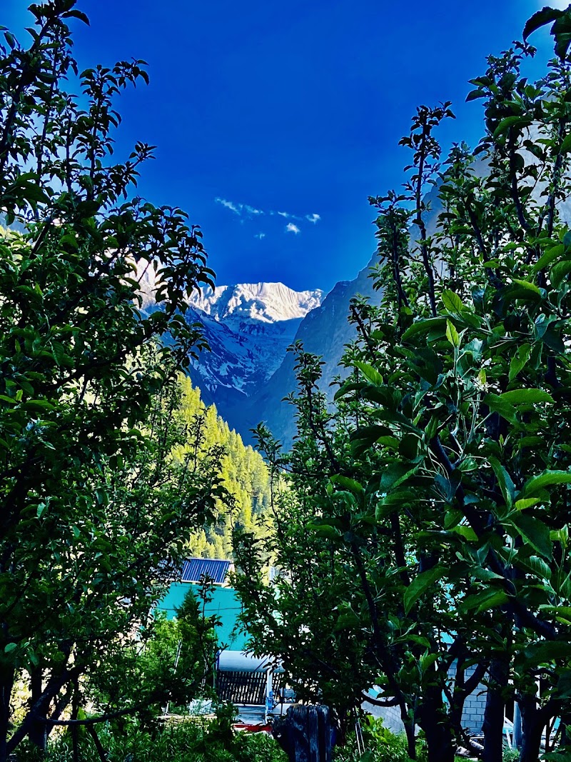 Sunrise Home Stay Dalang - Sunrise Home Stay Dalang Dalang, Gondhla, Dalang, Himachal Pradesh 175140, India