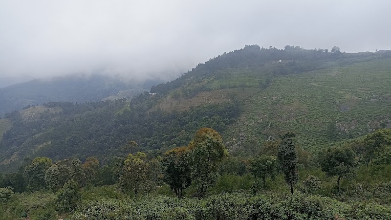 Kodanad Estate Dam View Point