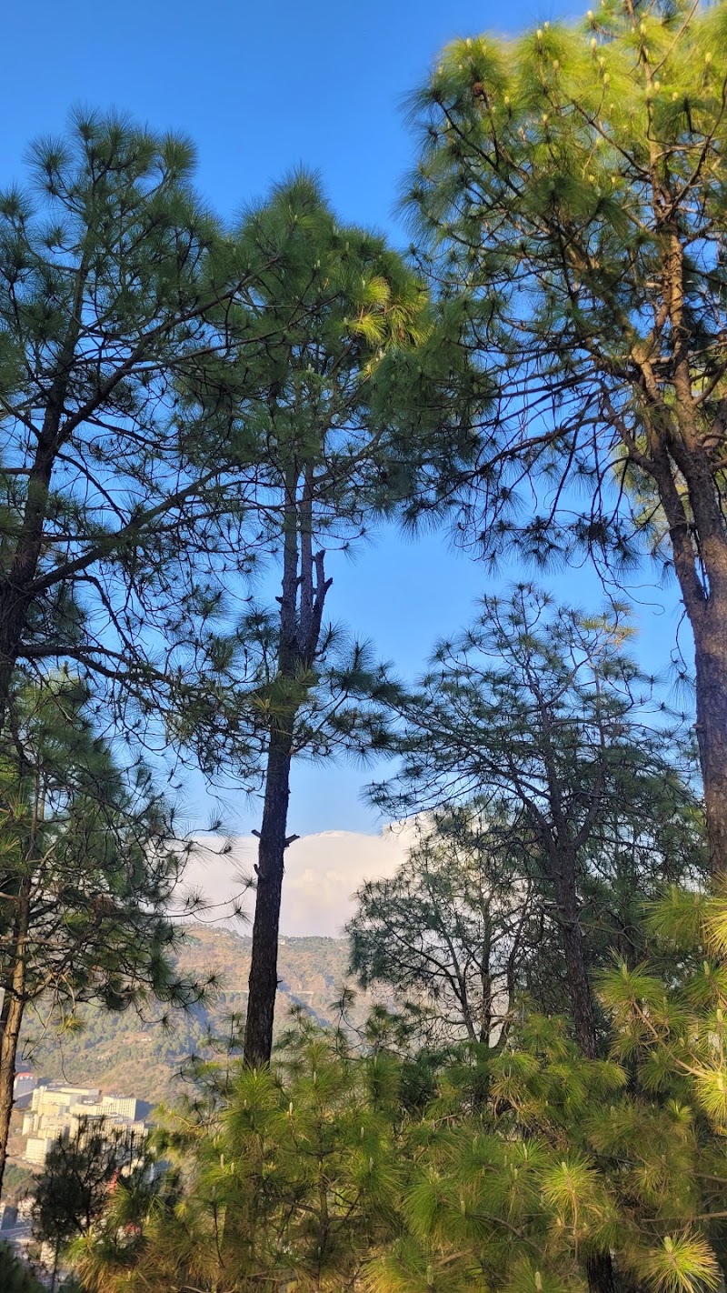 Sunset view - Sunset view V37F+8V8, SH 2, Gandhi Gram, Himachal Pradesh 173229, India