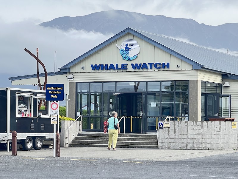 Encounter Kaikoura (Dolphin Encounter) - Encounter Kaikoura (Dolphin Encounter) 96 Esplanade, Kaikōura 7300, New Zealand