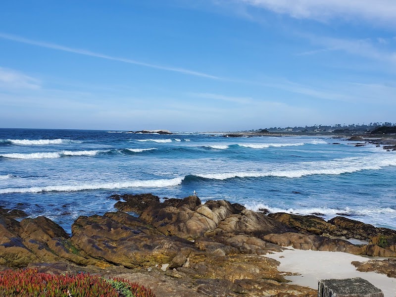 17 Mile Drive - 17 Mile Drive, 17 Mile Dr, Pebble Beach, CA 93953, USA