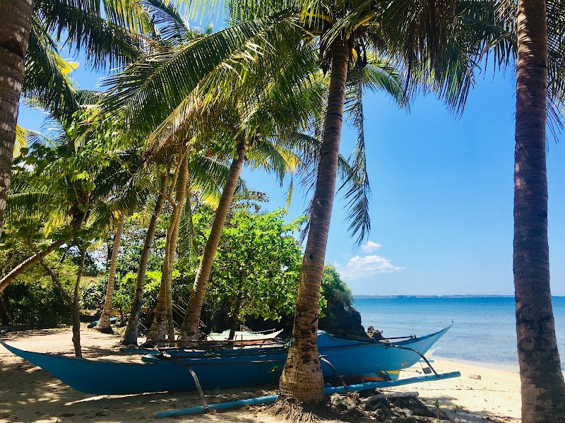 Malapascua Island - Malapascua Island Malapascua Island, Daanbantayan, Cebu, Philippines