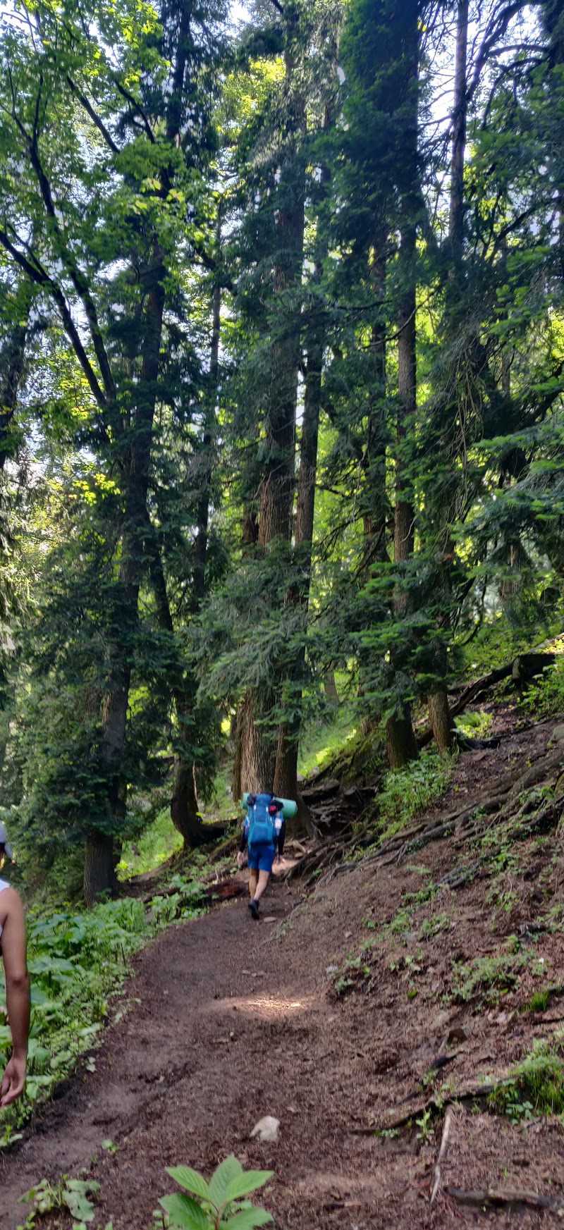 Lower Chikha Camp site - Lower Chikha Camp site 769X+J4P, Manali, Himachal Pradesh 175143, India