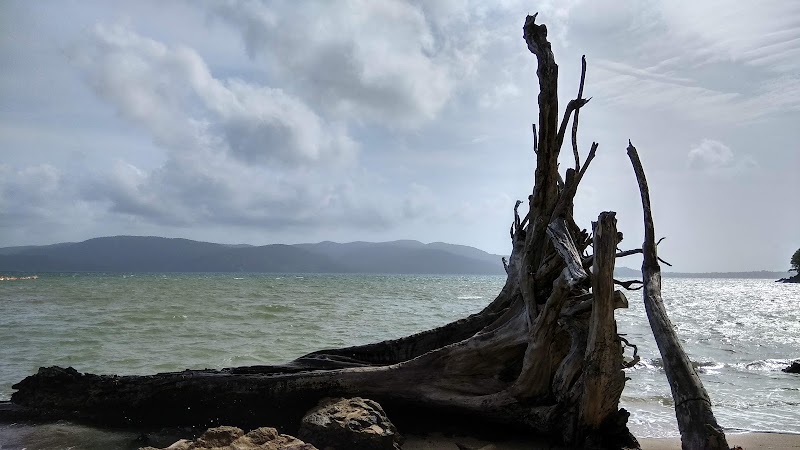 Munda Pahad Beach - Munda Pahad Beach FPR5+HGJ, Andaman and Nicobar Islands 744105, India