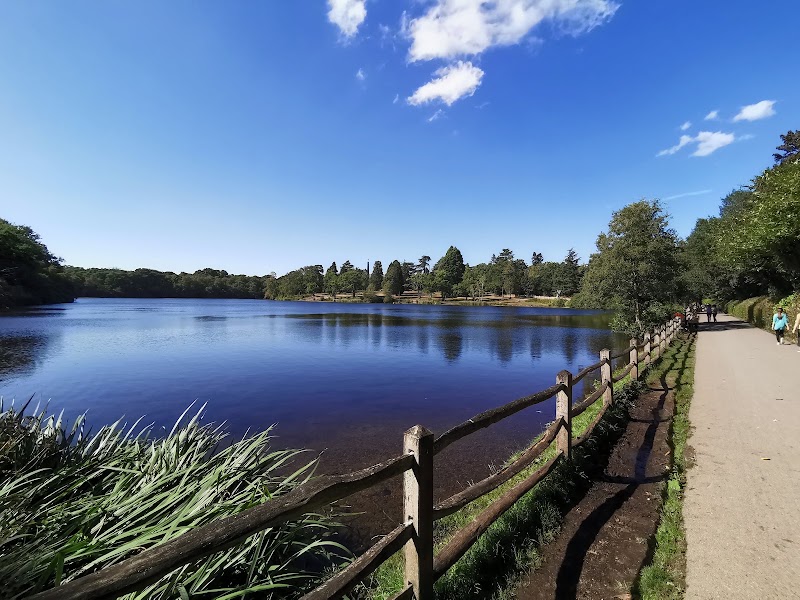 The Savill Garden - The Savill Garden, Wick Ln, Englefield Green, Egham TW20 0UJ, UK