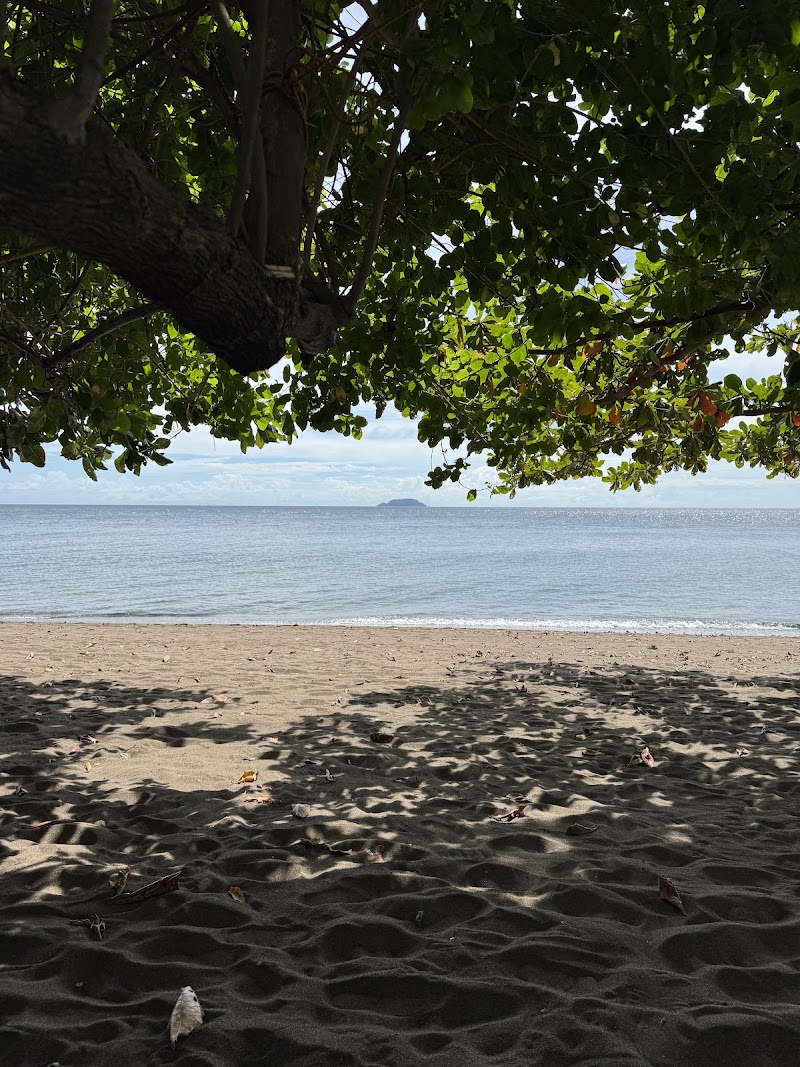 Dauin Open Beach - Dauin Open Beach, Dauin, Negros Oriental, Philippines
