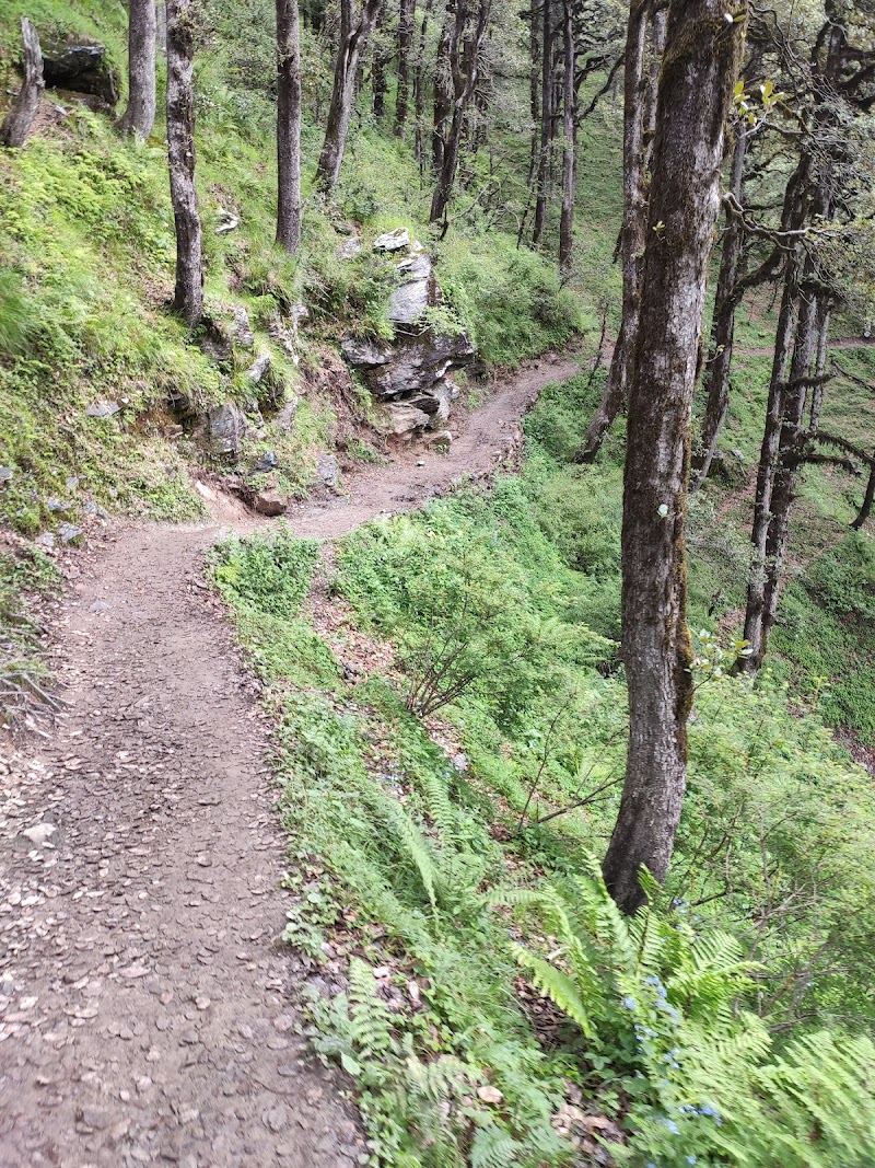 Tirthan - Tirthan Tirthan, Himachal Pradesh 175123