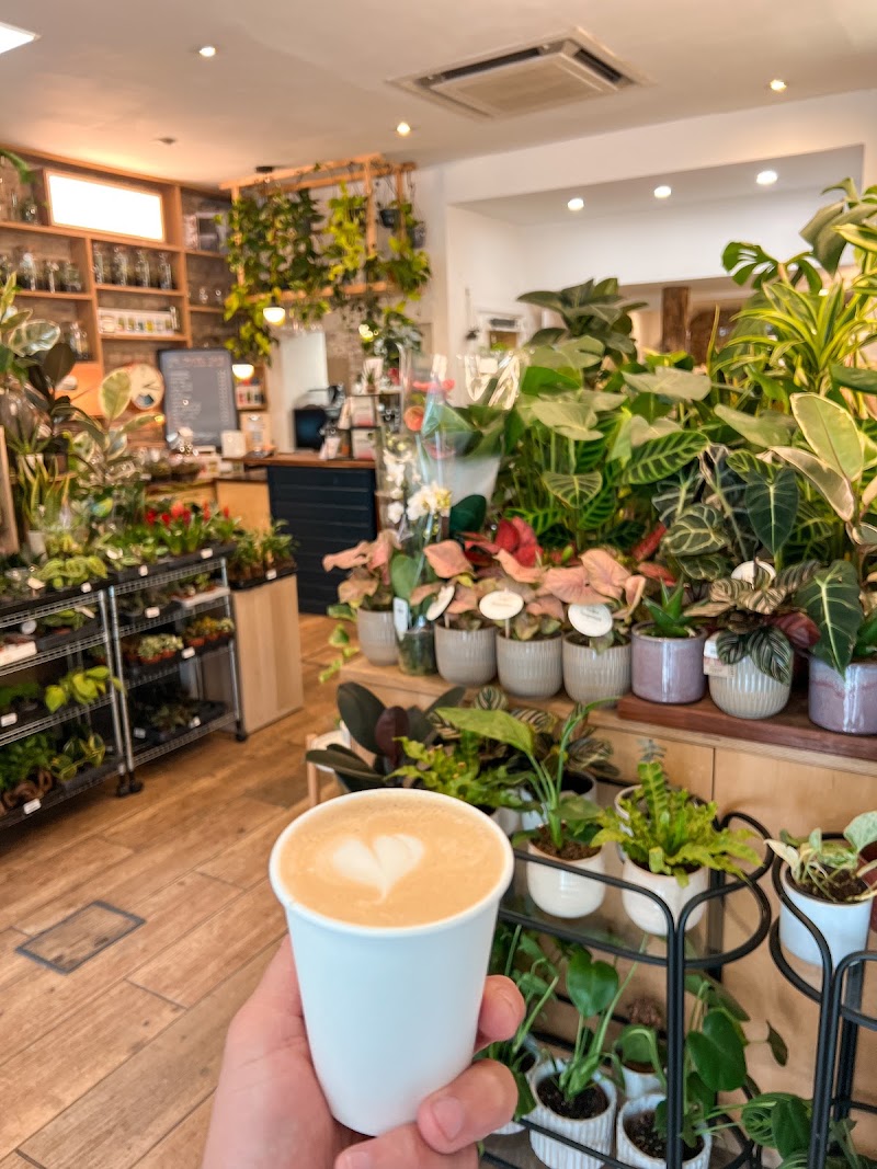 The Travel Cafe - The Travel Cafe 139 Westminster Bridge Rd, London SE1 7HR, UK