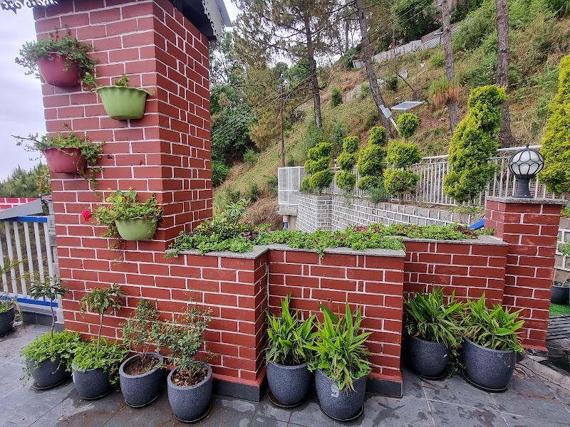 Hotel Wood Stock Luxury Kasauli - Hotel Wood Stock Luxury Kasauli near Lawrence School, beside Woodstock, Moti Corner, Kasauli, Himachal Pradesh 173201, India