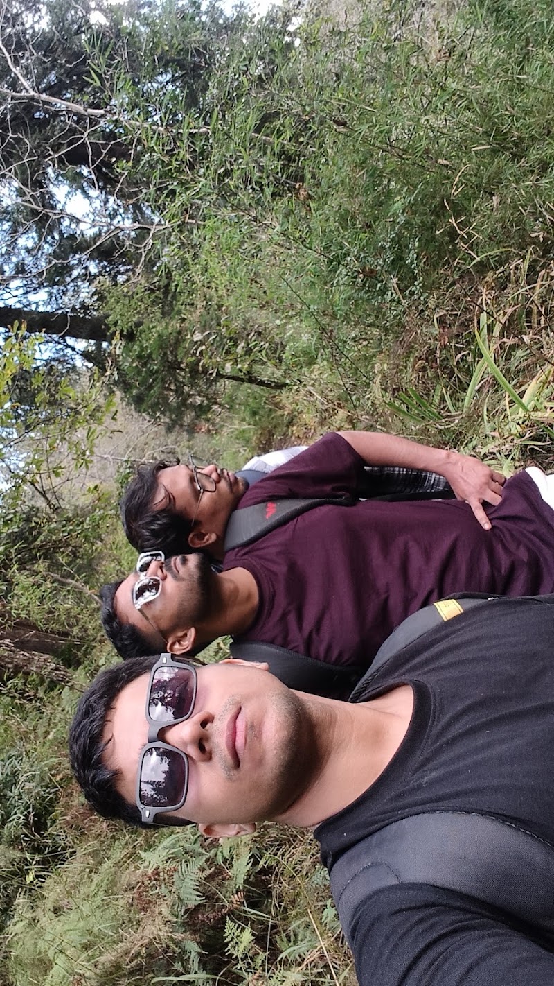 Shoja Waterfall Track Starting Point - Shoja Waterfall Track Starting Point, NH305, Sajwar, Himachal Pradesh 175123, India