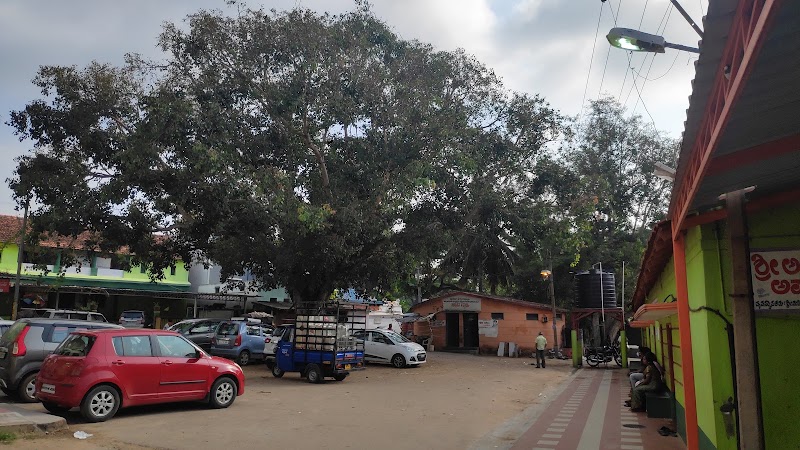 Paschima Vahini Srirangapatna - Paschima Vahini Srirangapatna, CM9F+J7H, Paschima Vahini Rd, Srirangapatna, Karnataka 571606, India