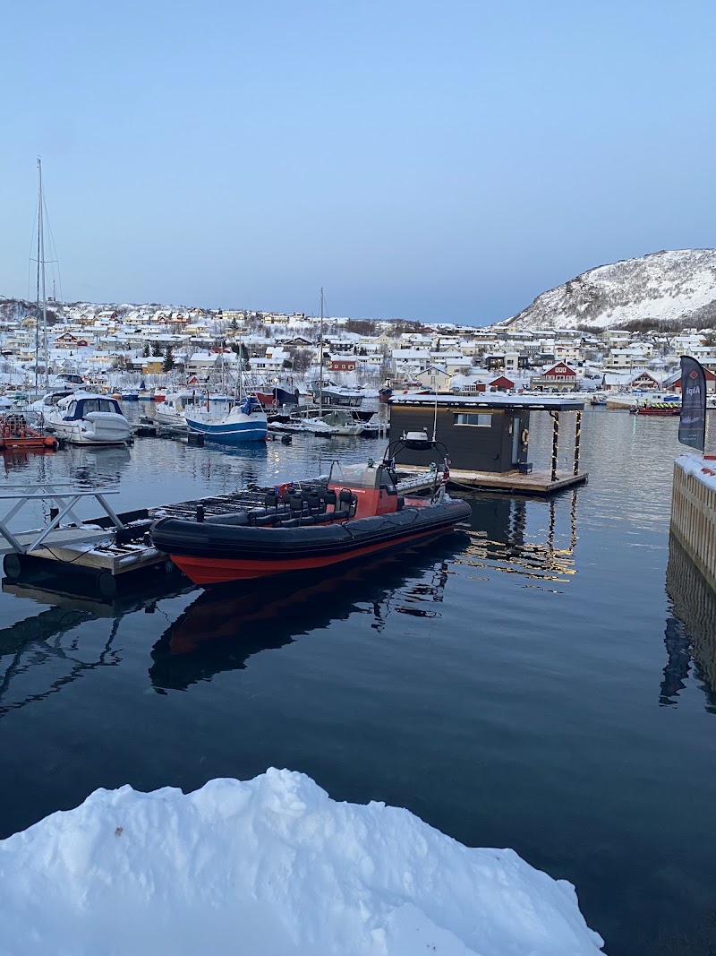 Lofoten Opplevelser - Lofoten Opplevelser Dreyers gate 15, 8312 Henningsvær, Norway
