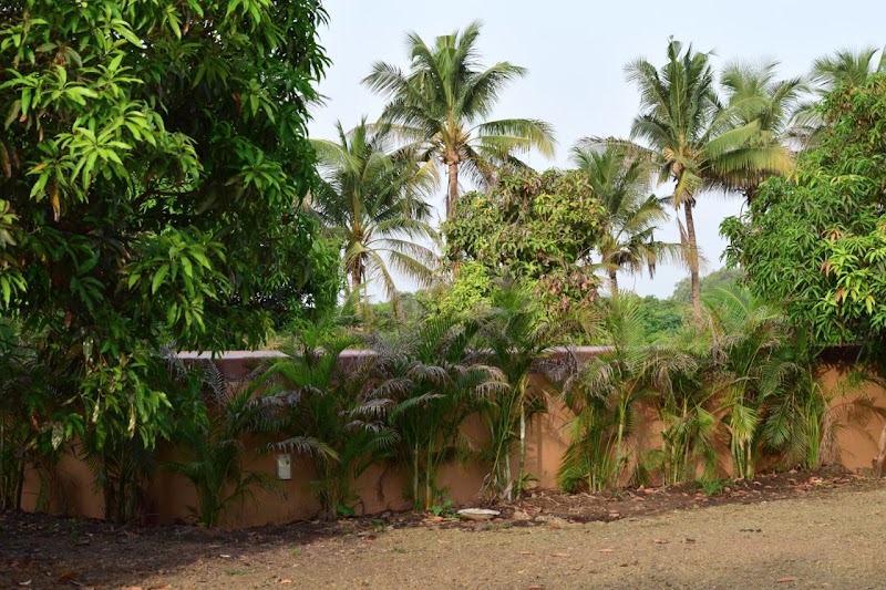 Aaranya Resort - Sasan Gir - Aaranya Resort - Sasan Gir, Bhojde Rd, Sasan Gir, Gujarat 362135, India
