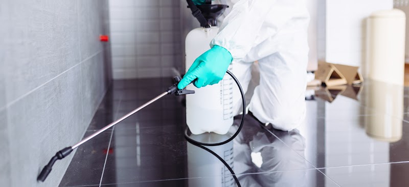 The Eradicators JP Nagar - Best Pest Control Services in Bangalore - The Eradicators JP Nagar - Best Pest Control Services in Bangalore, A-5,G.R TEJAS APARTMENT, 14th Main Rd, Kothnur, RBI Layout, JP Nagar 7th Phase, J. P. Nagar, Bengaluru, Karnataka 560078, India