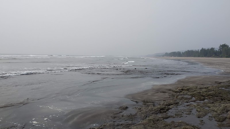 Harnai Beach - Harnai Beach, Maharashtra 415713, India