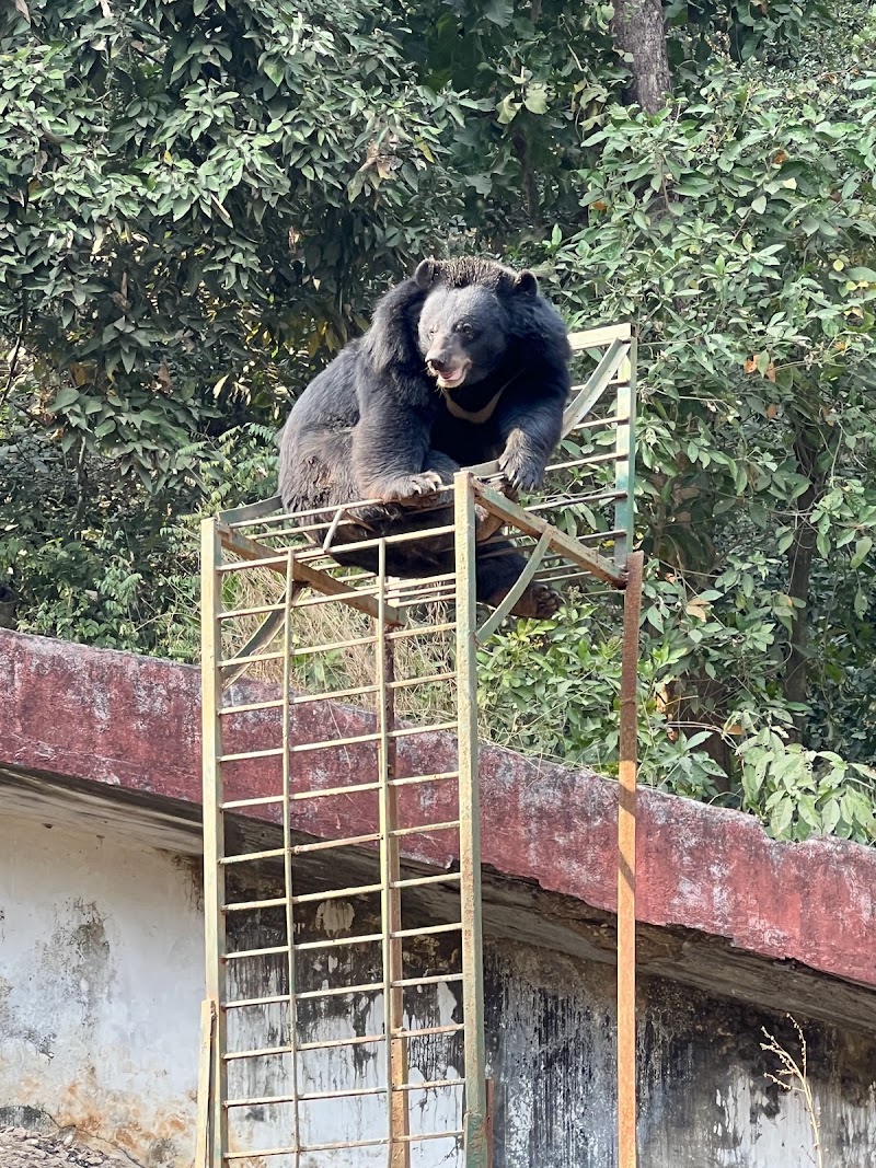 Assam State Zoo cum Botanical Garden - Assam State Zoo cum Botanical Garden RG Baruah Rd, Japorigog, Guwahati, Assam 781005, India
