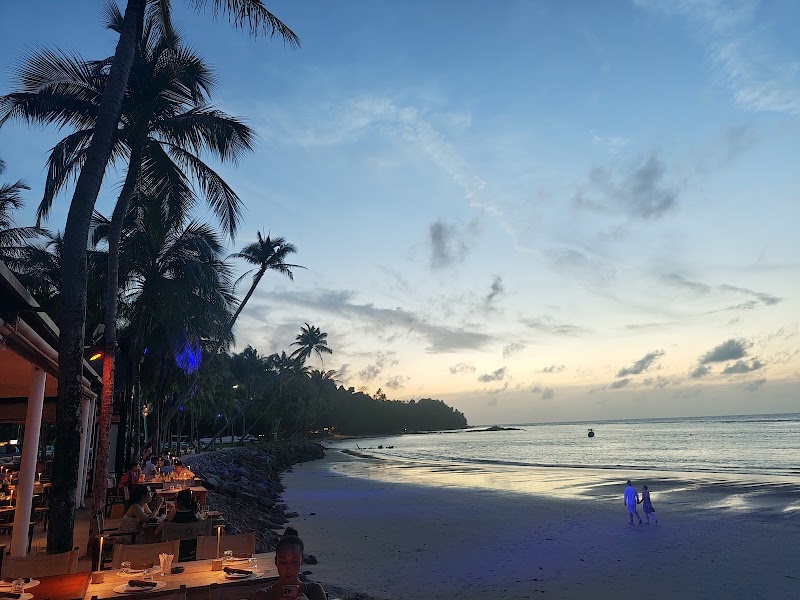 Carpe Diem Beach Club - Phuket - Carpe Diem Beach Club - Phuket 99, 1 Bangtao Beach Road, Tambon Choeng Thale, Amphoe Thalang, Chang Wat Phuket 83110, Thailand