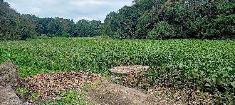 Dhom dam wall - Dhom dam wall, XRM9+572, Dhom, Maharashtra 412803, India