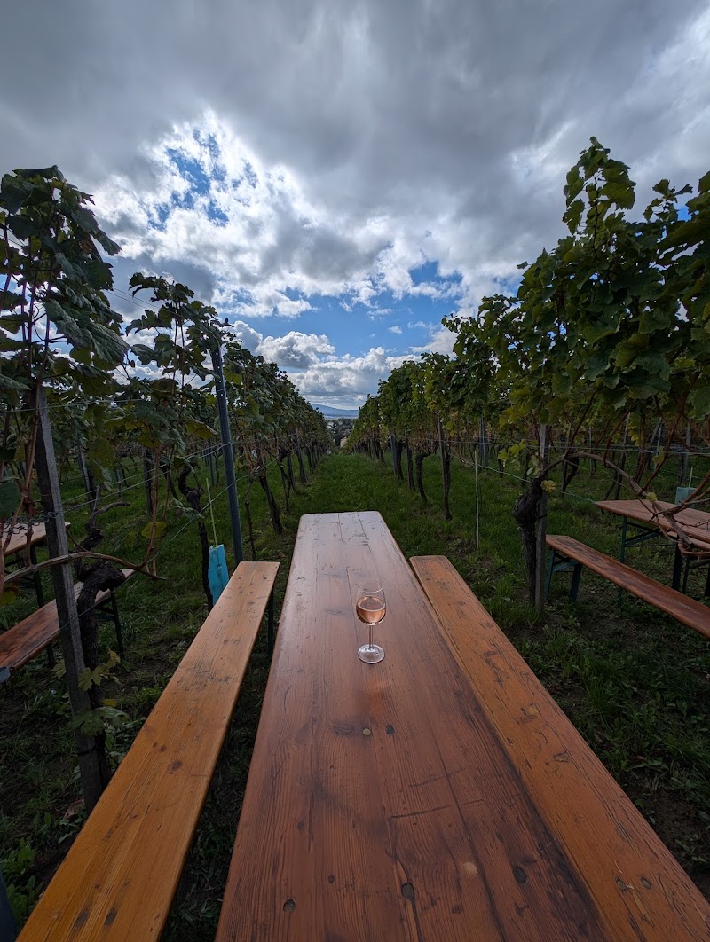 Ottakringer Weinwandertag - Ottakringer Weinwandertag, Speckbachergasse 14, 1160 Wien, Austria