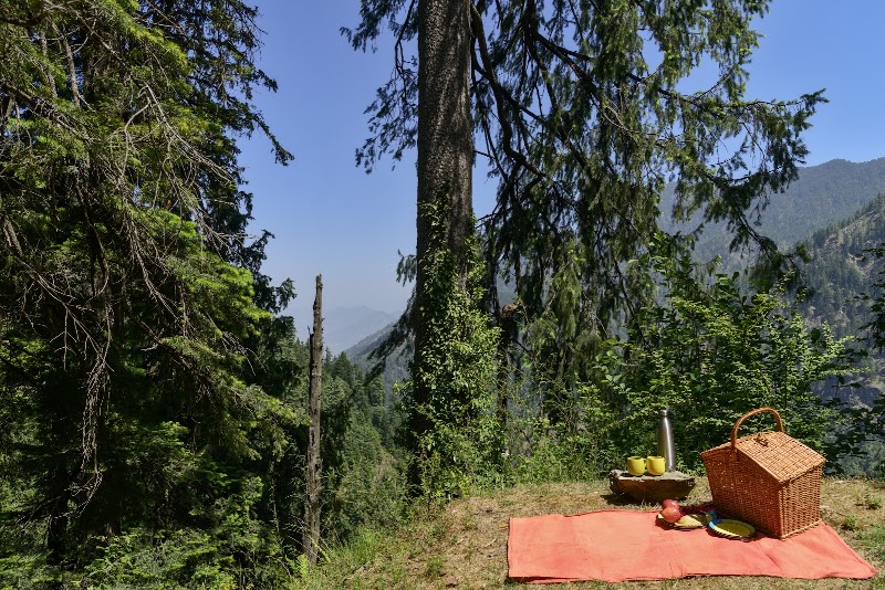 Banjara Village Retreat at Sojha - Banjara Village Retreat at Sojha, SH11, Shoja, Himachal Pradesh 175123, India