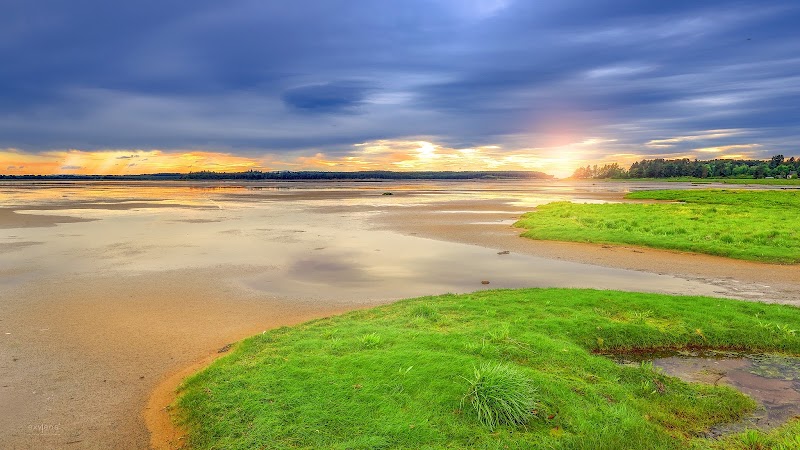 Findhorn Bay Local Nature Reserve - Findhorn Bay Local Nature Reserve, Forres IV36 3TD, UK