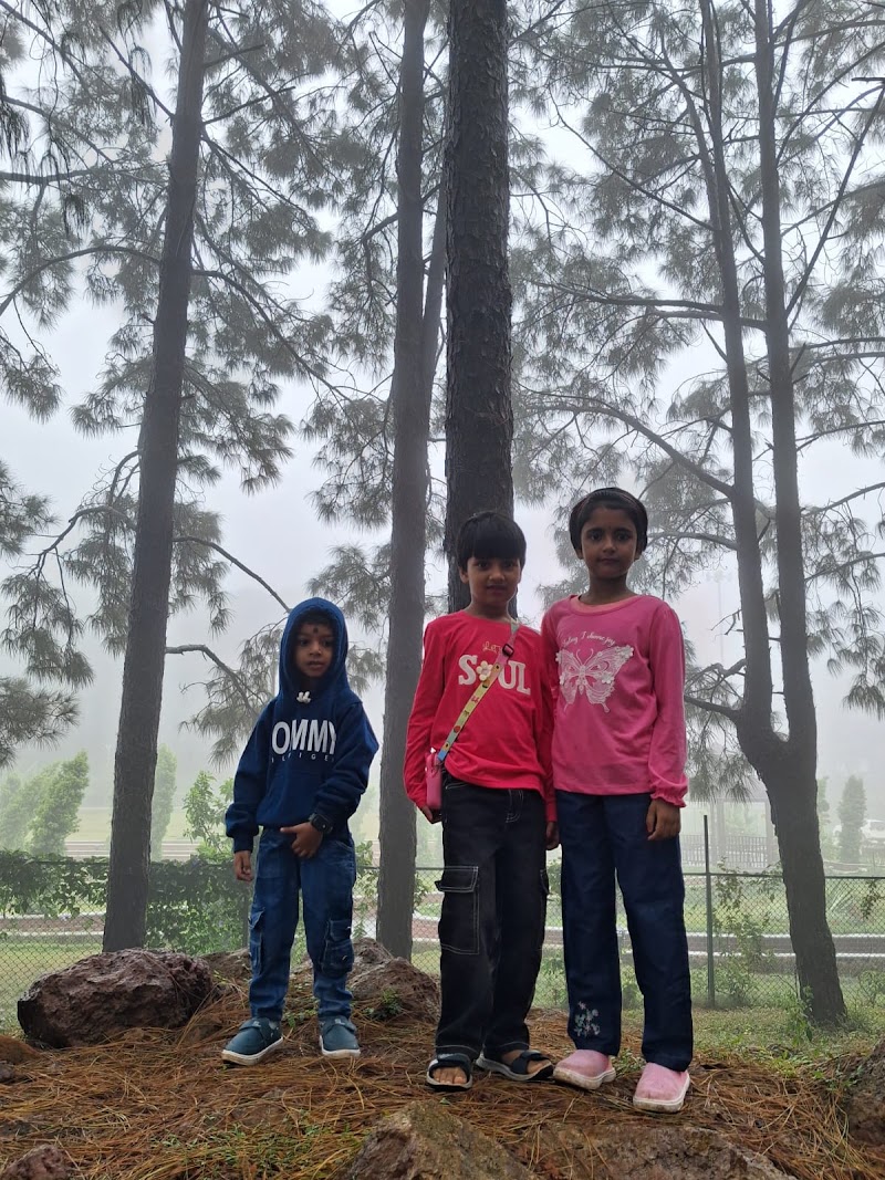 Pine Forest - Pine Forest F7W2+322, Netarhat, Jharkhand 835218, India