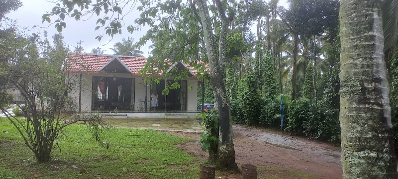 Lemons & Peaches - Lemons & Peaches, 5M6W+C4, Nandipura, Karnataka 577132, India