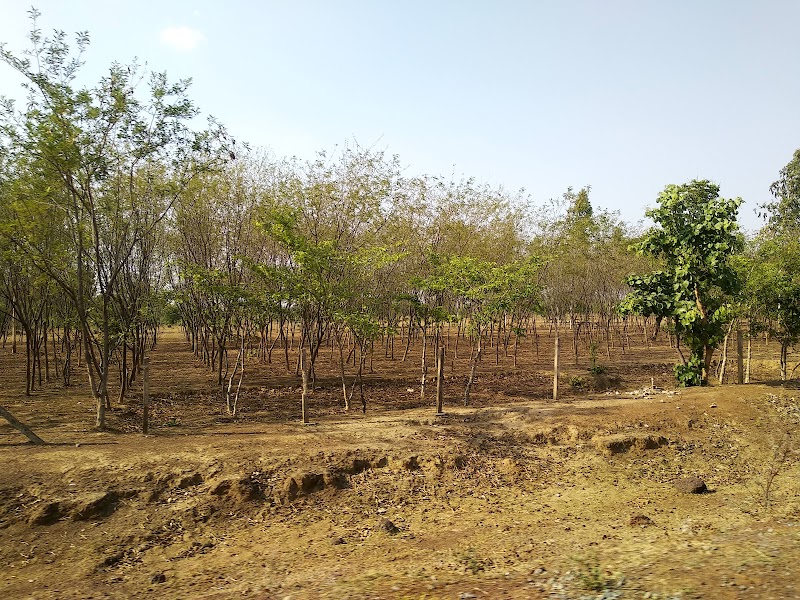 C K Yadav Hotel Kukurdi Kera