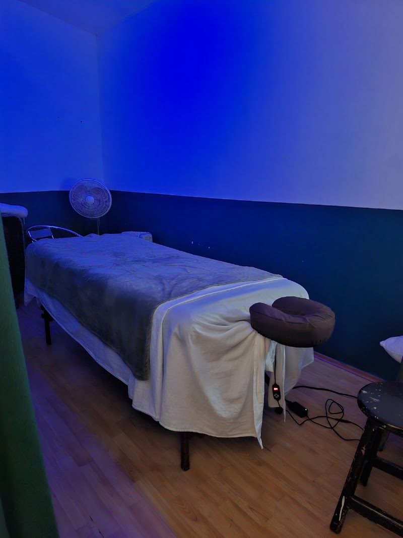 Masaje SPA Relajante en la Condesa y Roma - Spacio Tara - Masaje SPA Relajante en la Condesa y Roma - Spacio Tara, Av Sonora 91-Int 202, Centro Urbano Pdte. Juárez, Roma Nte., Cuauhtémoc, 06700 Ciudad de México, CDMX, Mexico