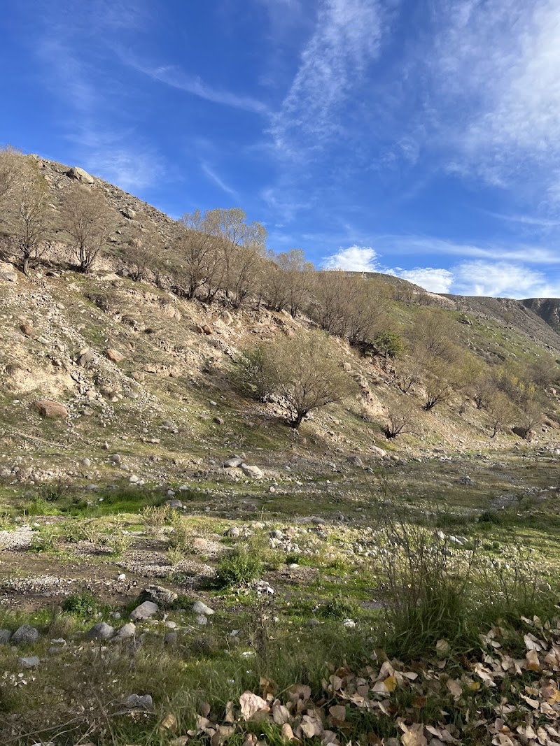 Meshginshahr Forest Park