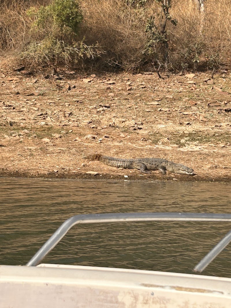 Gandhisagar Safari and Tour - Gandhisagar Safari and Tour, Bus Stand, Gandhisagar. 8 District Mandsaur, M.P. 458-771, Gandhi Sagar, Madhya Pradesh 458771, India