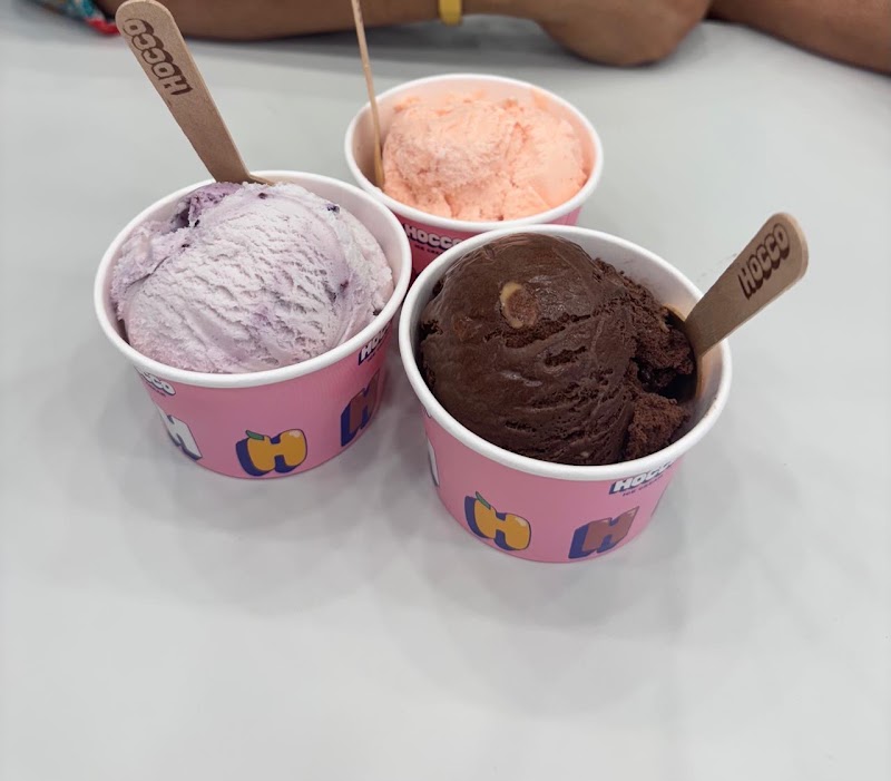 Hocco Icecream (Jodhpur)
